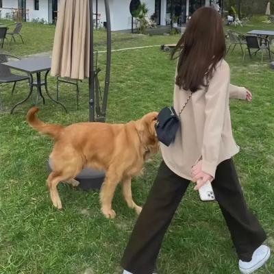 尼斯警花 在线观看封面
