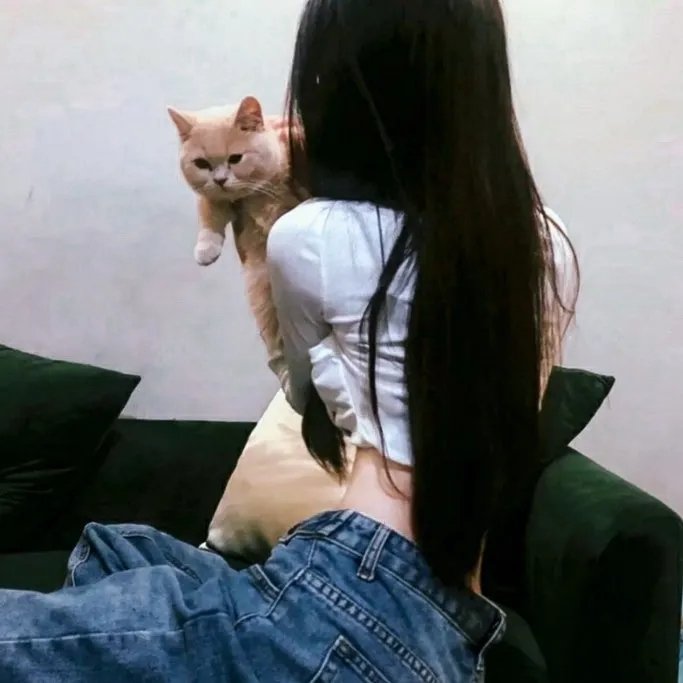疯狂倒计时 在线观看封面
